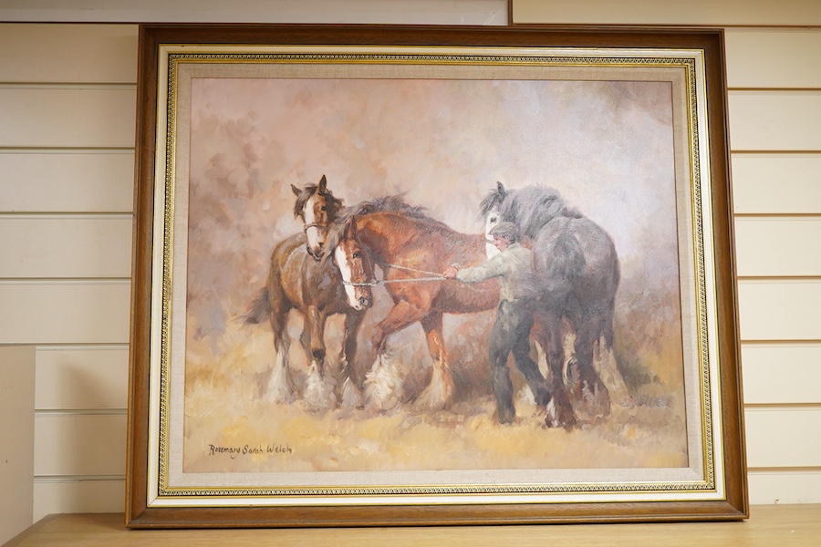Rosemary Sarah Welch (b.1946), Study of three shire horses, signed, oil on canvas, 59 x 75cm